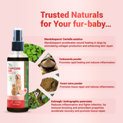 Topicure Pet Natural Wound Healing Spray for Dogs & Cats | Herbal Treatment for Cuts, Bruises, Maggot Wounds & Fungal Infections - 75ml