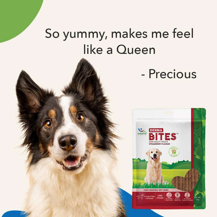DERMA BITES - For Dogs