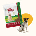 Natural Derma Bites for Dogs – Skin & Coat Health Support Soft Chews