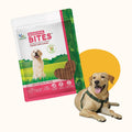 Natural Digestive Bites for Dogs – Gut Health & Digestion Support Soft Chews