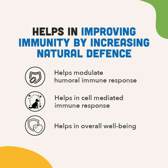 IMMUNITY BITES Immune Health Dog Treats 1