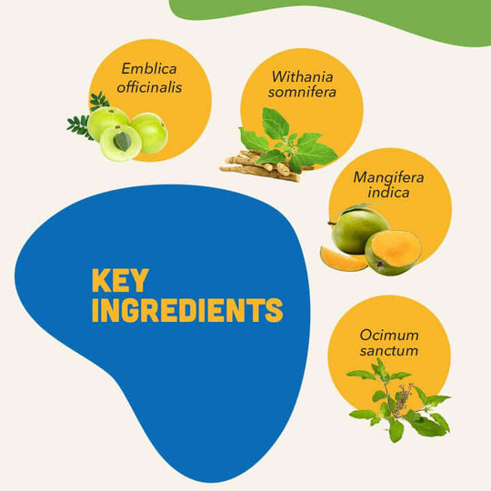 IMMUNITY BITES Immune Health Dog Treats 2
