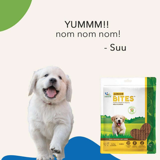 JUNIOR BITES Puppy Treats 3