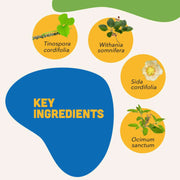 JUNIOR BITES -- For Dogs