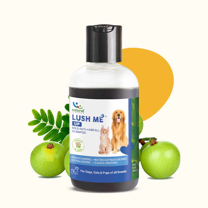 Dog anti hair fall shampoo store