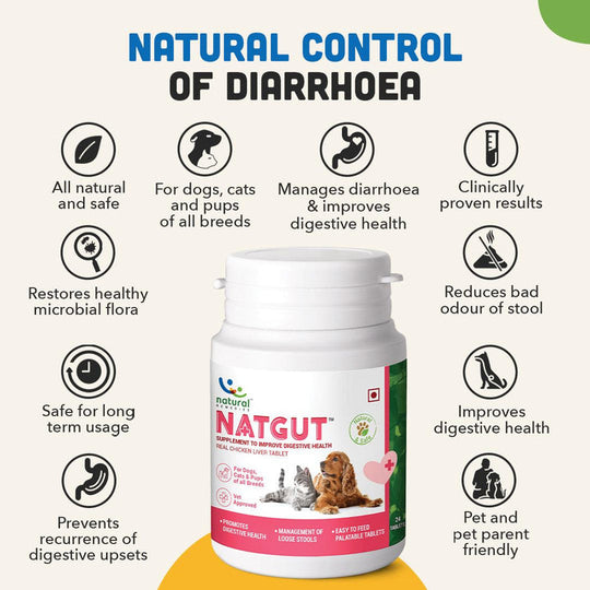 NATGUT Digestive Supplement For Dog & Cat 1