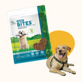Natural Smart Bites for Dogs – Brain Health & Cognitive Support Soft Chews