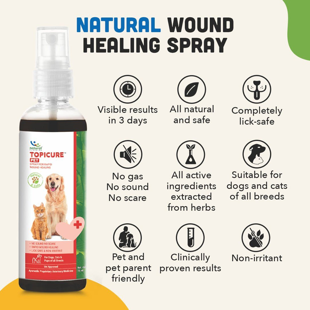 Natural pet remedies top
